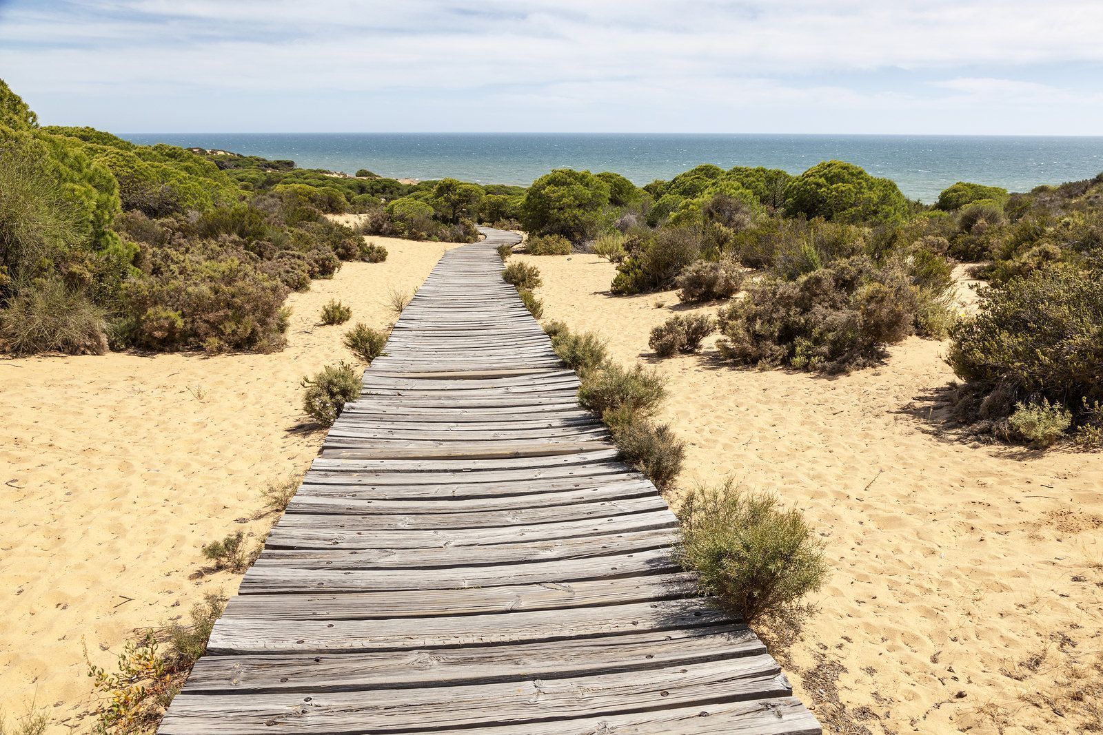 Huelva, origen de Saborea Huelva