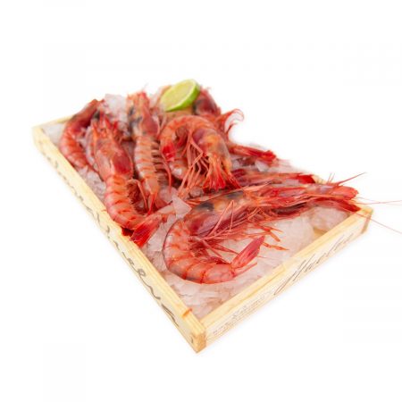 Gamba Roja Alistada Saborea Huelva