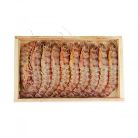 Langostino Tigre de Sanlucar Saborea Huelva Crudo