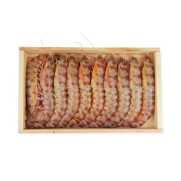 Langostino Tigre de Sanlucar Saborea Huelva Crudo