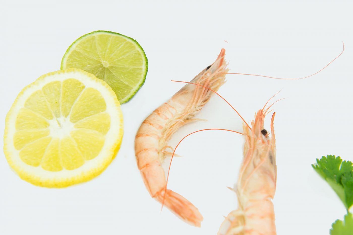 ¿Cómo diferenciar gamba blanca de Huelva? - Saborea Huelva