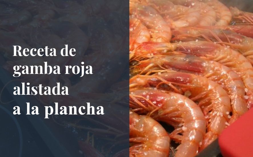 como hacer que la gamba roja a la plancha salga bien saborehuelva.com