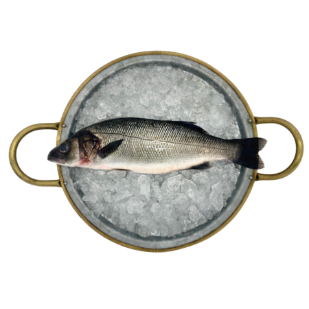 Lubina