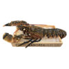 Bogavante para comprar en Saboreahuelva.com
