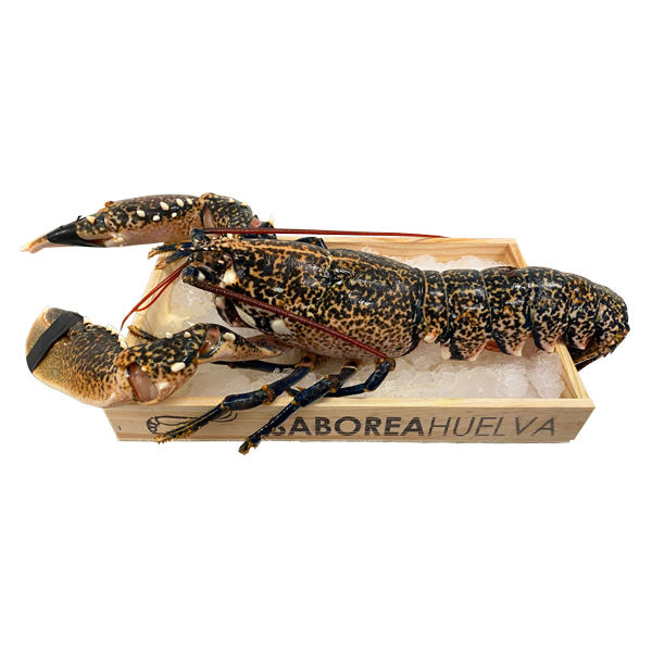 Bogavante 1 Bogavante para comprar en Saboreahuelva.com