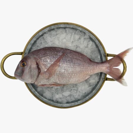 Pargo fresco listo para envío a domicilio