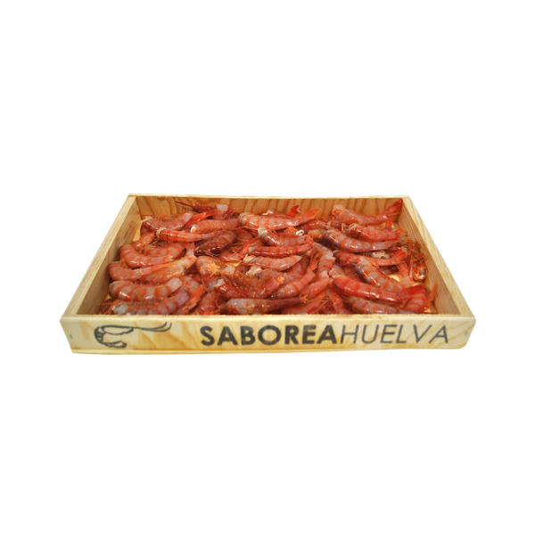 Gamba Roja Alistada - Imagen 5