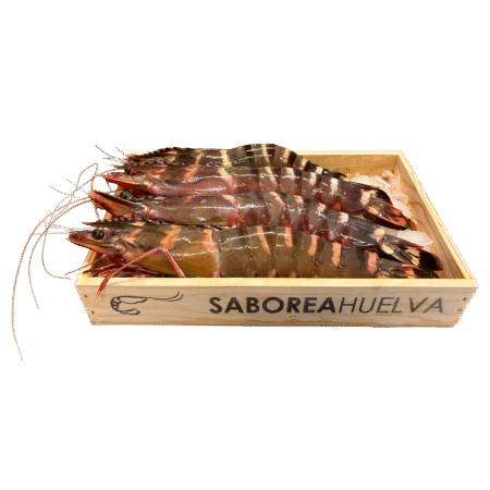 Langostino Jumbo